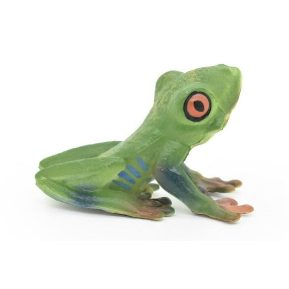 Frog Toy, Red Eyed Tree Frog, Very Realistic Rubber Figure, Model, Educational, Animal, Hand Painted Figurines, 2" CH063 BB79