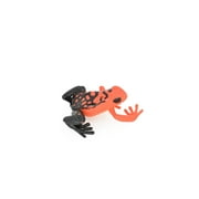 Frog, Toy, Red Poison Dart, Arrow Frog, Very Realistic Rubber Figure, Model, Educational, Animal, Hand Painted Figurines, 2 1/2 CH035 BB74