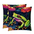 thumbnail image 1 of Frog Velvet Pillow Covers Set of 2 with Unique Patterns for Decorative Pillows - 16x16, 18x18, 20x20 Inches for Various Occasions, 1 of 6