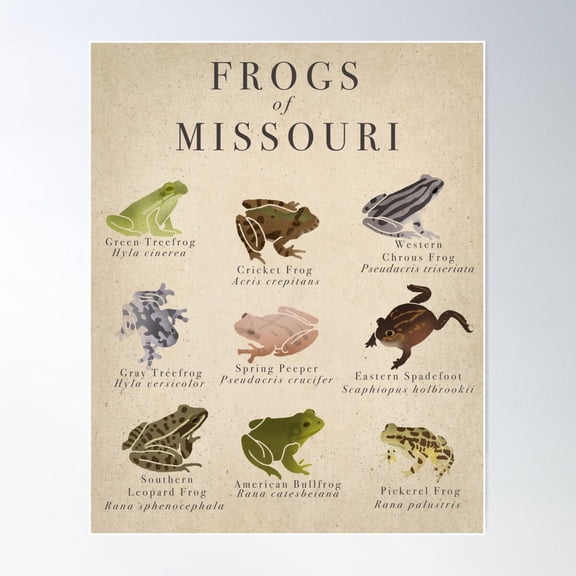 Frogs Of Missouri Vintage Poster Wall Art, Modern Wall Decor For Living Room Bedroom, 8x12 UNFRAMED