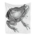 thumbnail image 1 of Frogs Soft Flannel Fleece Blanket, Sketchy Vintage Engraved Style Drawing of Biology Amphibian Fauna Animal, Cozy Plush for Indoor and Outdoor Use, 60" x 80", Charcoal Grey and White, by Ambesonne, 1 of 5