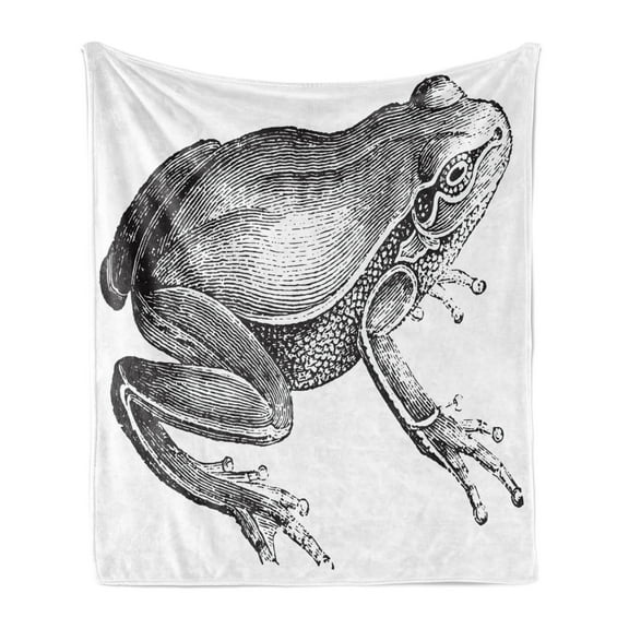 Frogs Soft Flannel Fleece Blanket, Sketchy Vintage Engraved Style Drawing of Biology Amphibian Fauna Animal, Cozy Plush for Indoor and Outdoor Use, 60" x 80", Charcoal Grey and White, by Ambesonne