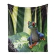 thumbnail image 1 of Frogs Soft Flannel Fleece Blanket, Wild Nature Photo of Vivid Colored Animal on Leaf Exotic Jungle on Blurred Backdrop, Cozy Plush for Indoor and Outdoor Use, 60" x 80", Multicolor, by Ambesonne, 1 of 5