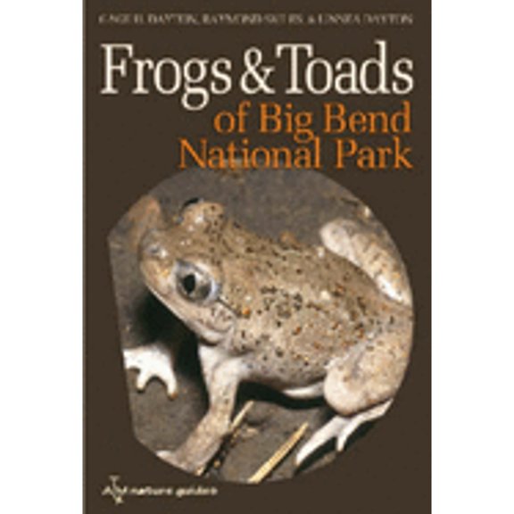 Pre-Owned Frogs and Toads of Big Bend National Park (Paperback) 9781585445769