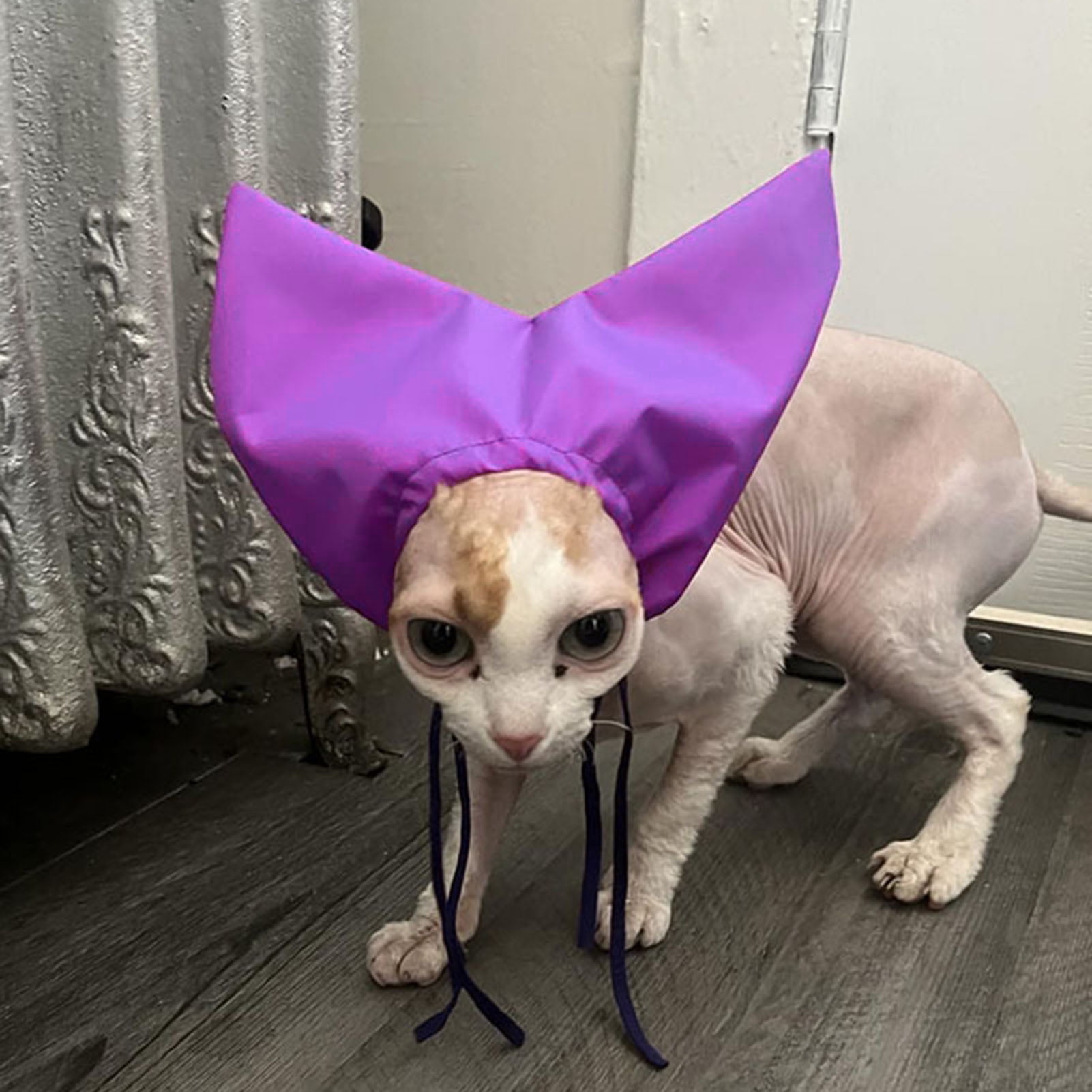 Frogued Cat Shower Cap Adjustable Waterproof Bathing Hat with Ear Cover ...