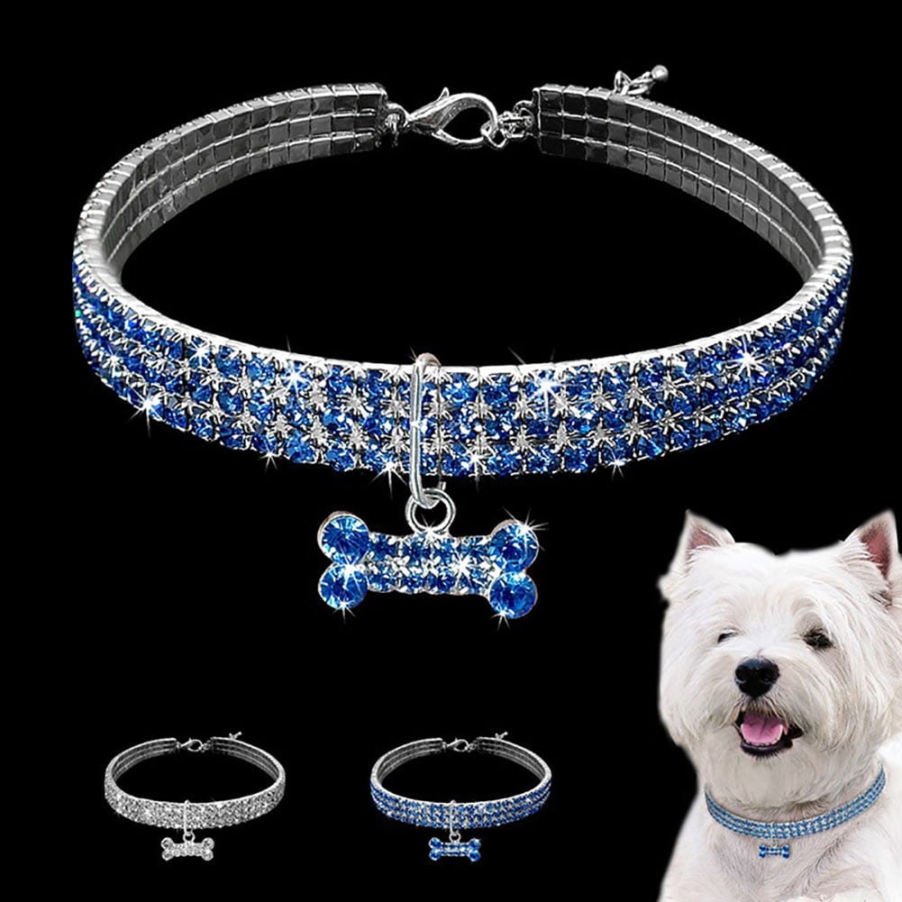 Dog collars for chihuahuas 2025