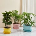 thumbnail image 1 of Frogued Flower Pot Nice-looking Fashion Lightweight Plastic Flower Vegetable Planters Pot with Tray for Home(Blue,S), 1 of 13
