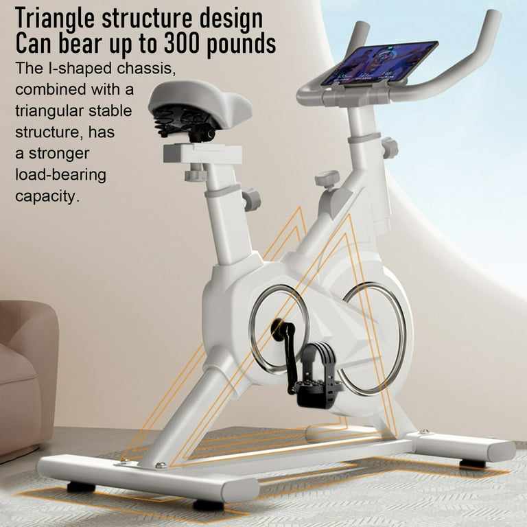 Frogued Ultra Quiet Exercise Bike, Magnetic Control, Intelligent