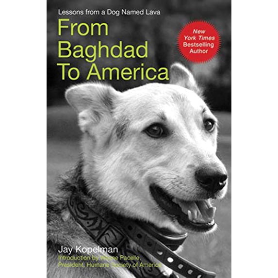 Pre-Owned From Baghdad to America: Life After War for a Marine and His Rescued Dog (Paperback) 1602397430 9781602397439