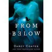 From Below, Paperback