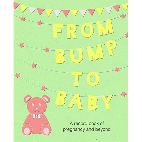 Pre-Owned From Bump to Baby: A Record Book of Pregnancy and Beyond (Hardcover) 1782496661 9781782496663