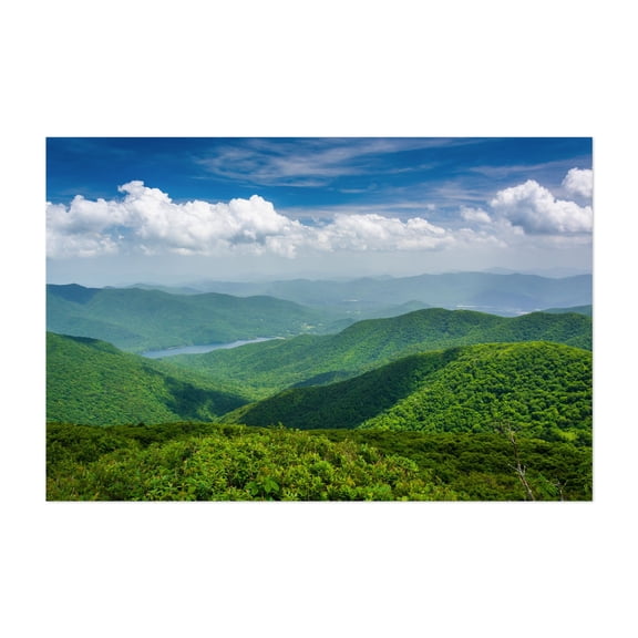 From Craggy Pinnacle - North Carolina Photography Mountain Landscape Nature Scenic Forest Travel Poster Summer Unframed Wall Art Print 32 x 48 inches