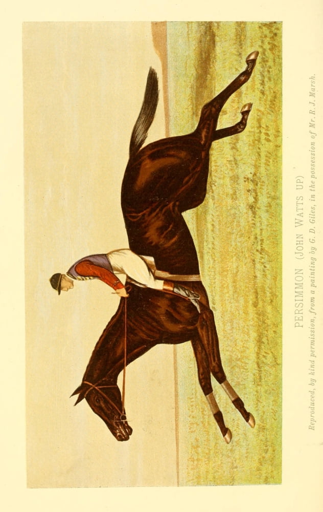 From Gladiateur to Persimmon 1901 Persimmon Canvas Art - Godfrey D Giles (18 x 24)