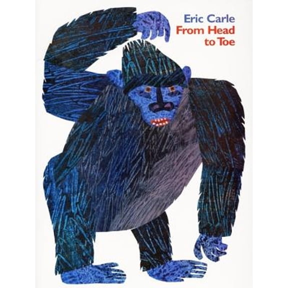 Pre-Owned From Head to Toe (Paperback) 0064435962 9780064435963