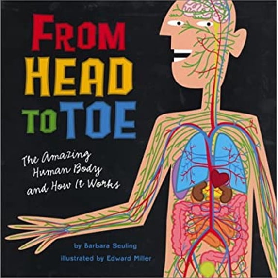 Pre-Owned From Head to Toe (Hardcover) 0823416992 9780823416998