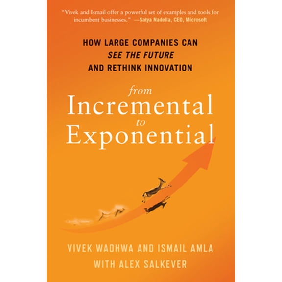 From Incremental to Exponential : How Large Companies Can See the Future and Rethink Innovation (Hardcover)