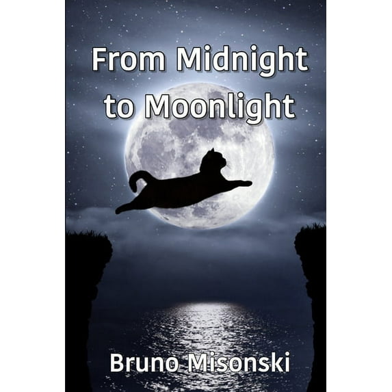 From Midnight to Moonlight, (Paperback)
