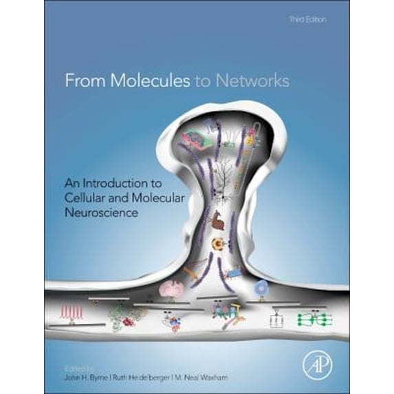 Pre-Owned From Molecules to Networks: An Introduction to Cellular and Molecular Neuroscience Hardcover