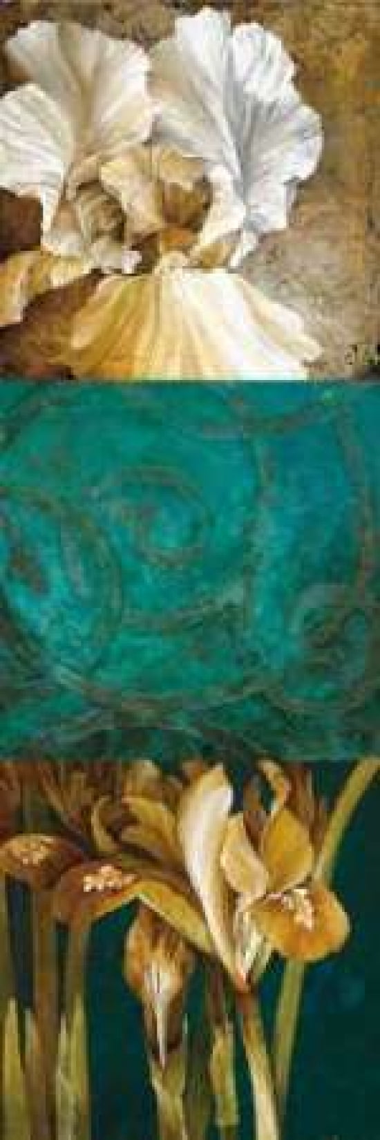 From My Garden II Canvas Art - Linda Thompson (8 x 24)
