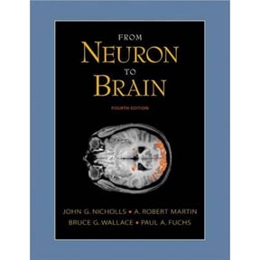 Pre-Owned From Neuron to Brain: A Cellular and Molecular Approach to the Function of the Nervous System, Fourth Edition (Hardcover) 0878934391 9780878934393