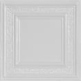thumbnail image 1 of From Plain To Beautiful In Hours County Cork White Tin Plated Nail Up Ceiling Tile 6 Pcs 2 ft. x 2 ft., 1 of 5