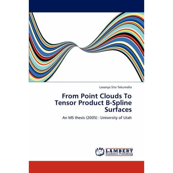 From Point Clouds to Tensor Product B-Spline Surfaces (Paperback)