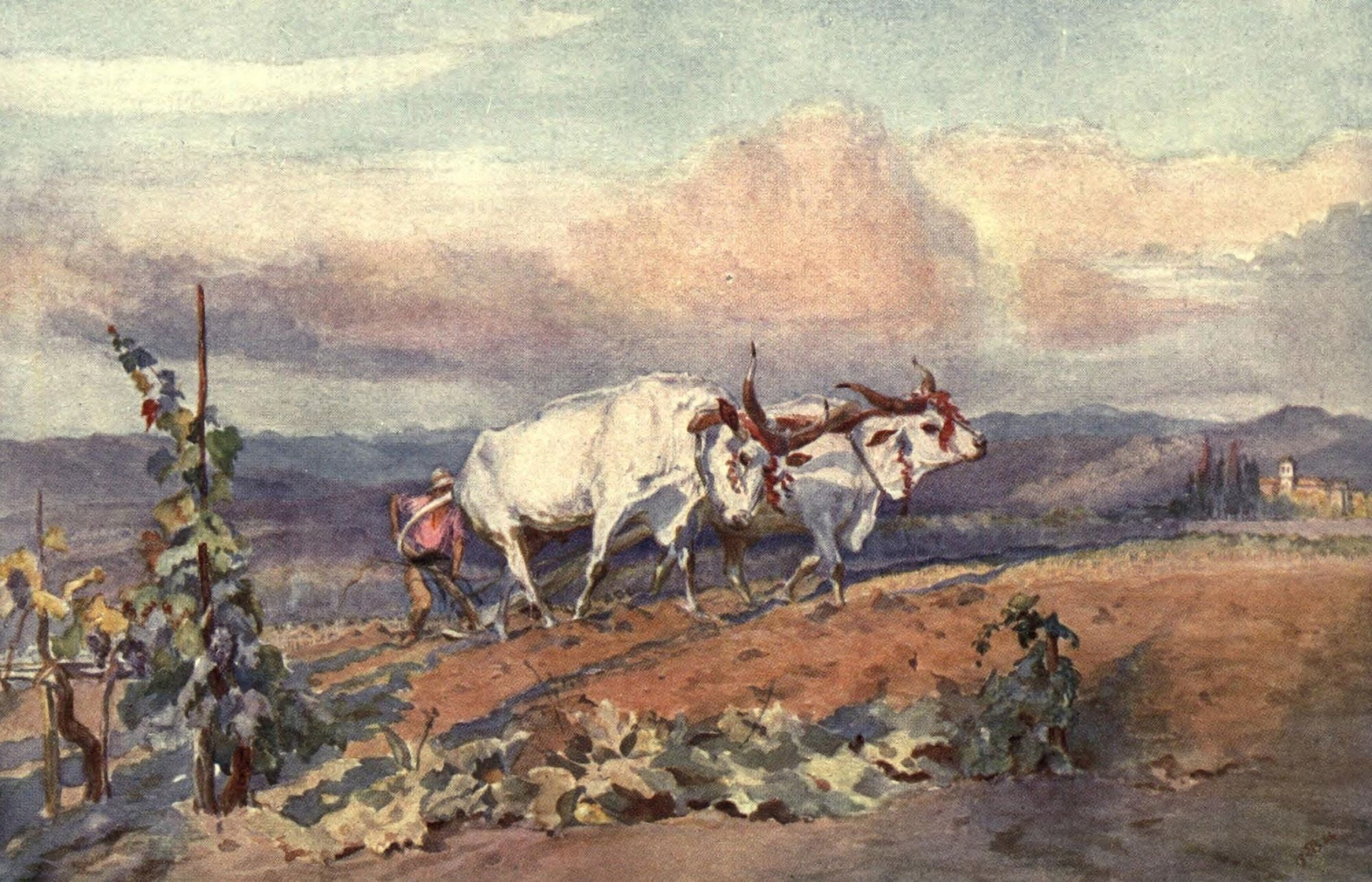 From Sketch-book & Diary 1909 Ploughing in Tuscany Canvas Art - Elizabeth Butler (24 x 36)