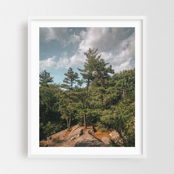 From Table Rocks - Gardiner New York Photography Forest Nature Scenic Landscape Autumn Botanical Mountain White Framed Wall Art Print 18 x 24 inches