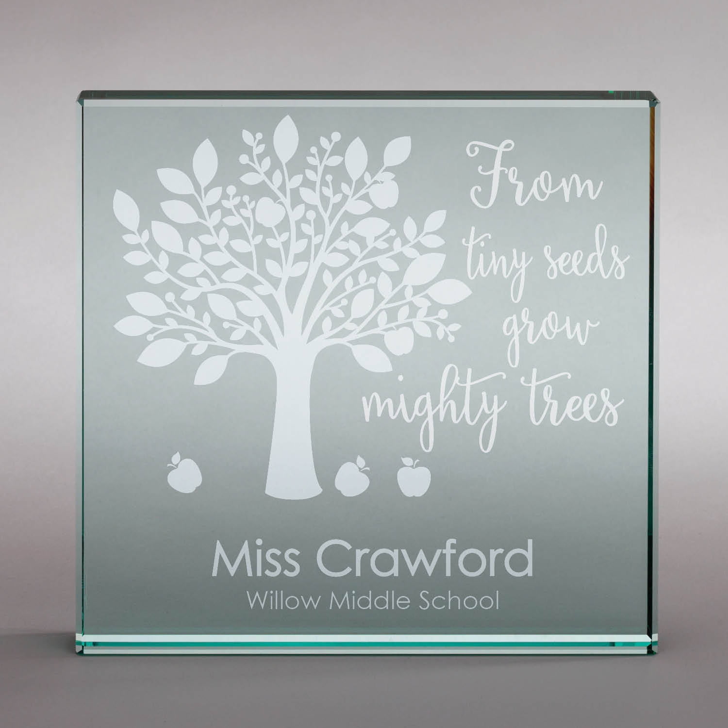 From Tiny Seeds Grow Mighty Trees Personalized Glass Block - Walmart.com
