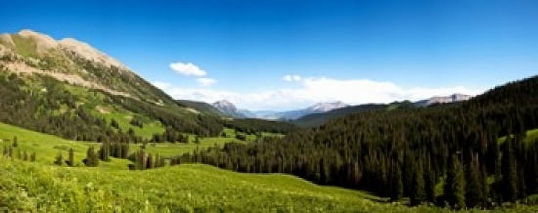 From Washington Gulch Road looking southeast towards Crested Butte Gunnison County Colorado USA Canvas Art - Panoramic Images (15 x 6)