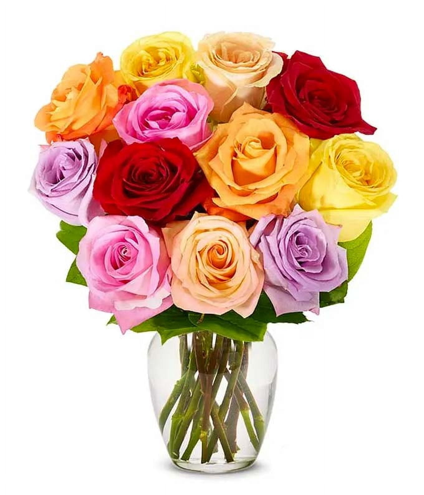 From You Flowers - Freshly Cut 12 Rainbow Roses Bouquet with Free Vase ...