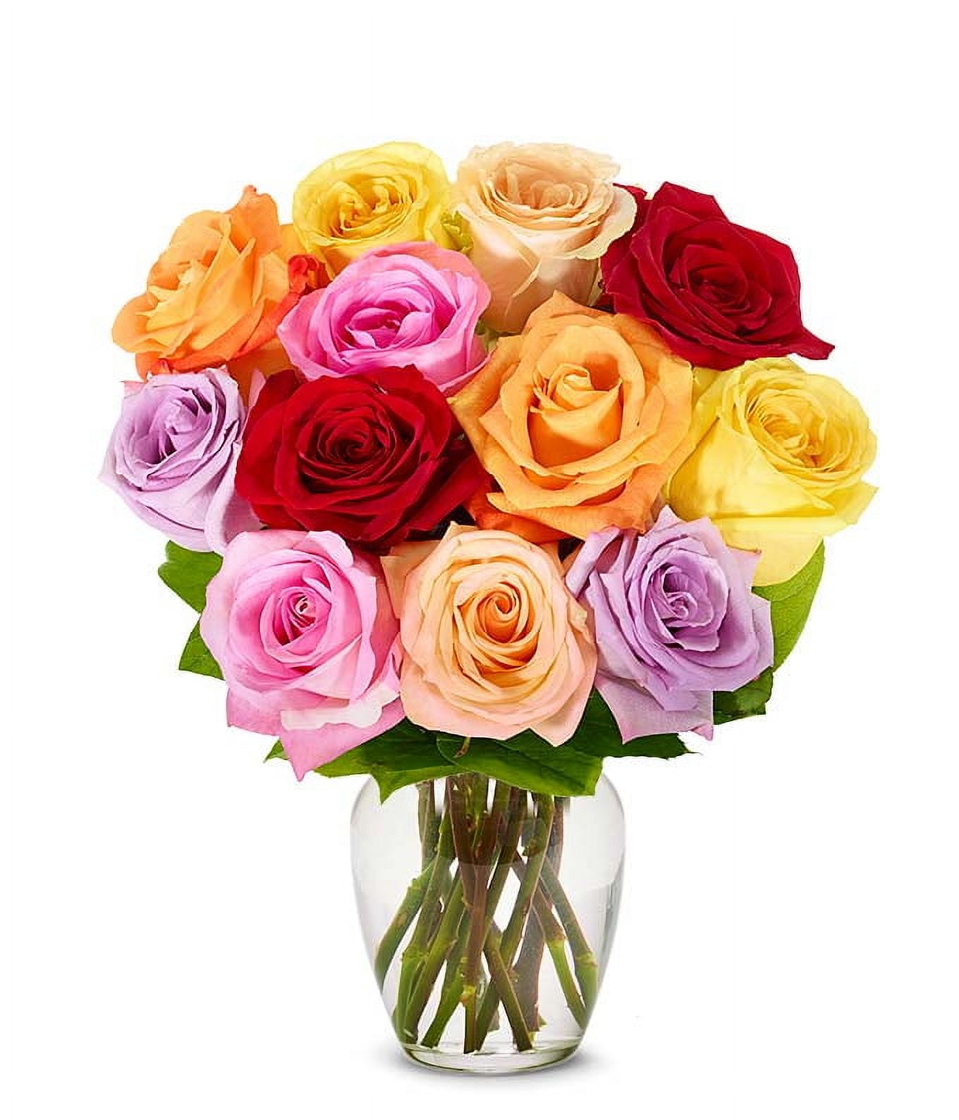 From You Flowers - One Dozen Rainbow Red, Orange, Pink, Purple, Yellow Roses with Free Vase (Fresh Flowers)