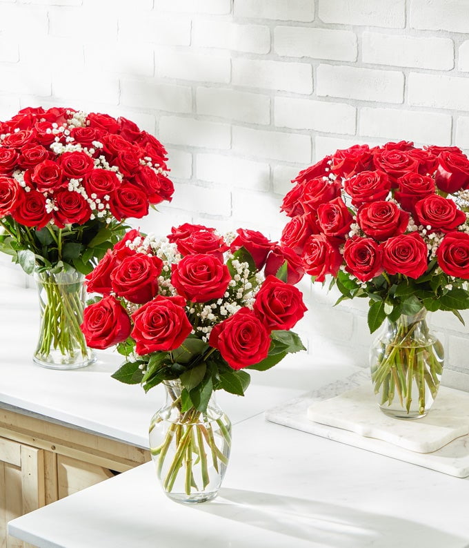 From You Flowers - 24 Red Roses in a Clear Glass Vase (Fresh Flowers)