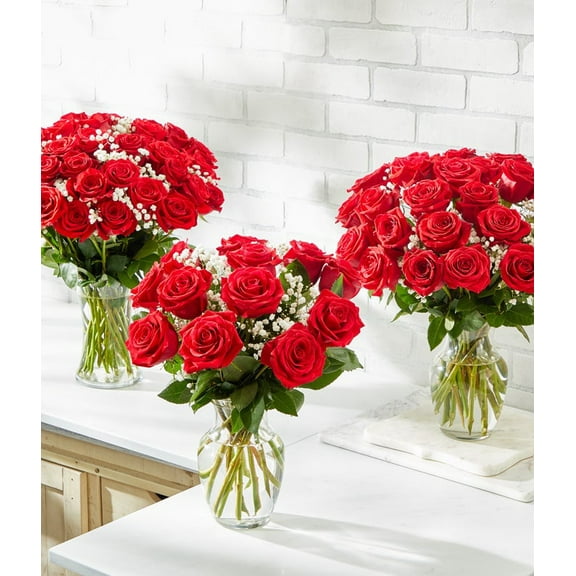 From You Flowers - 24 Red Roses in a Clear Glass Vase (Fresh Flowers)