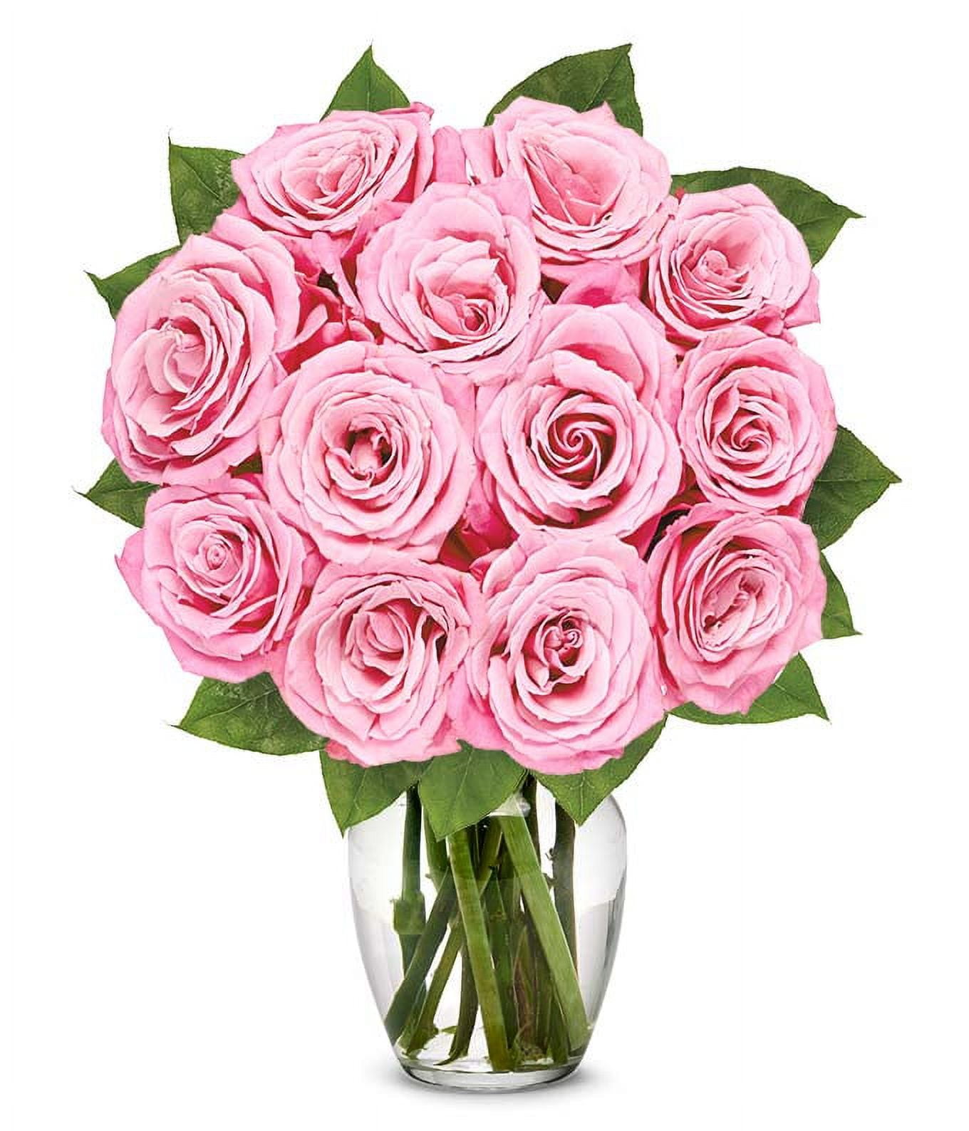 From You Flowers - Classic Light Pink Rose Bouquet for Birthday, Anniversary, Get Well, Congratulations, Thank You, All Occasions