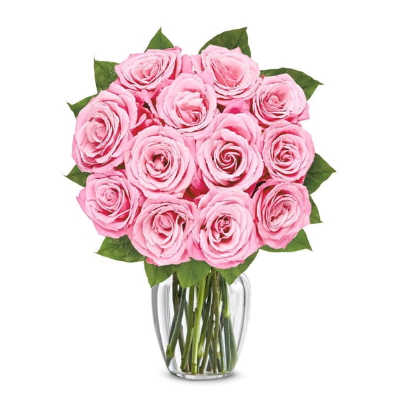 From You Flowers - Classic Light Pink Rose Bouquet for Birthday, Anniversary, Get Well, Congratulations, Thank You, All Occasions