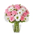 thumbnail image 1 of From You Flowers - Dreaming in Daisies Bouquet - Deluxe for Birthday, Anniversary, Get Well, Congratulations, Thank You, All Occasions, 1 of 3