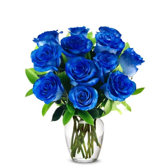 From You Flowers - One Dozen Blue Roses in Clear Glass Vase for Birthday, Anniversary, Get Well, Congratulations, Thank You, All Occasions