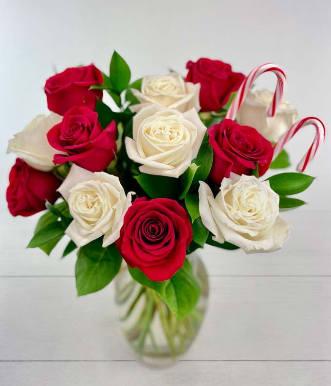From You Flowers - One Dozen Candy Cane Roses with Clear Glass Vase for Christmas, Holiday, Winter