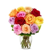 From You Flowers - One Dozen Rainbow Red, Orange, Pink, Purple, Yellow Roses  with Free Vase (Fresh Flowers)