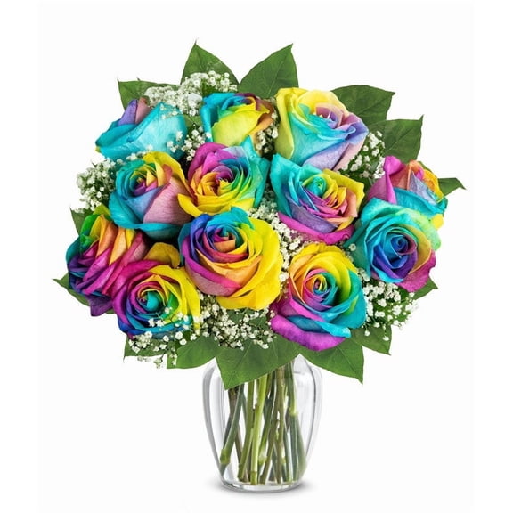 From You Flowers - One Dozen Wild Rainbow Colored Roses with Free Vase (Fresh Flowers)