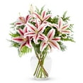 thumbnail image 1 of From You Flowers - Peppermint Striped Stargazer Lilies for Birthday, Anniversary, Get Well, Congratulations, Thank You, All Occasions, 1 of 1