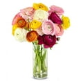 thumbnail image 1 of From You Flowers - Rainbow Ranunculus for Birthday, Anniversary, Get Well, Congratulations, Thank You, All Occasions, 1 of 1