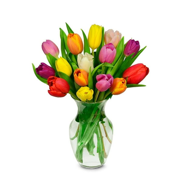From You Flowers - Rainbow Tulip Bouquet - 15 Stems for Birthday, Anniversary, Get Well, Congratulations, Thank You, All Occasions