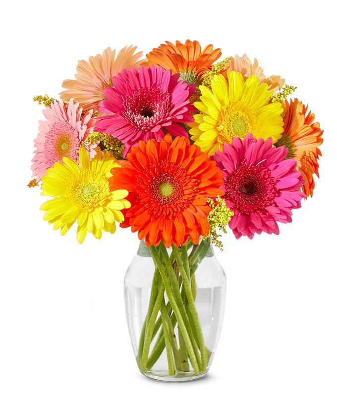 From You Flowers - Stunning Gerbera Daisies - 10 Stems for Birthday, Anniversary, Get Well, Congratulations, Thank You, All Occasions