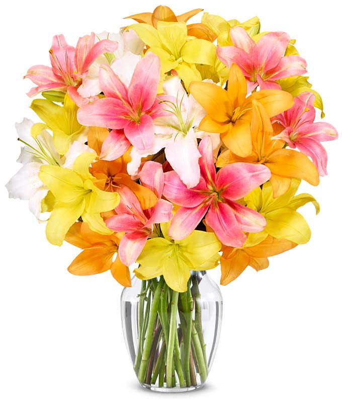 From You Flowers - Stunning Lily Bouquet - Premium for Birthday, Anniversary, Get Well, Congratulations, Thank You, All Occasions