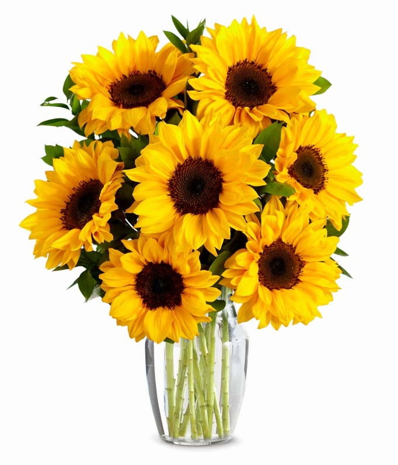 From You Flowers - Stunning Sunflowers for Birthday, Anniversary, Get Well, Congratulations, Thank You, All Occasions