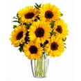 thumbnail image 1 of From You Flowers - Stunning Sunflowers for Birthday, Anniversary, Get Well, Congratulations, Thank You, All Occasions, 1 of 1