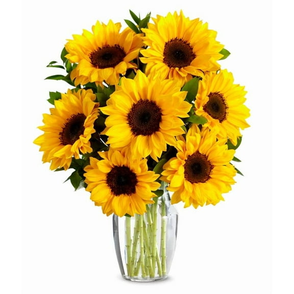 From You Flowers - Stunning Sunflowers for Birthday, Anniversary, Get Well, Congratulations, Thank You, All Occasions