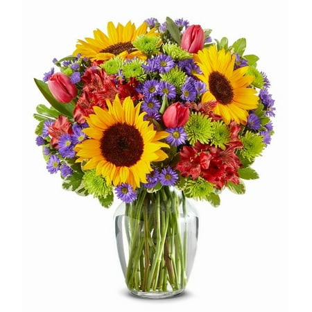From You Flowers - Sunflower Garden for Birthday, Anniversary, Get Well, Congratulations, Thank You, All Occasions
